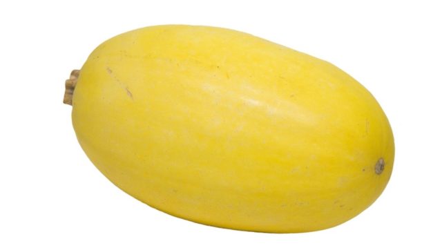 spaghetti-squash-640-1