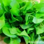 Watercress 101 - Clean&Delicious