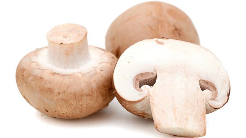 Mushroom 101