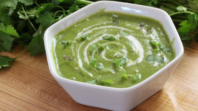 Green Blender Soup - Nest Wellness