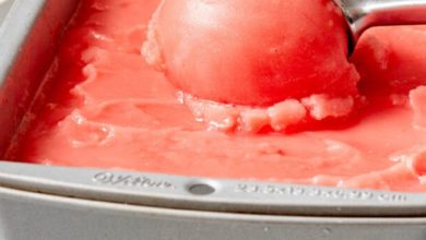 watermelon ice-cream frozen in a loaf pan