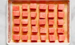 frozen watermelon cubes
