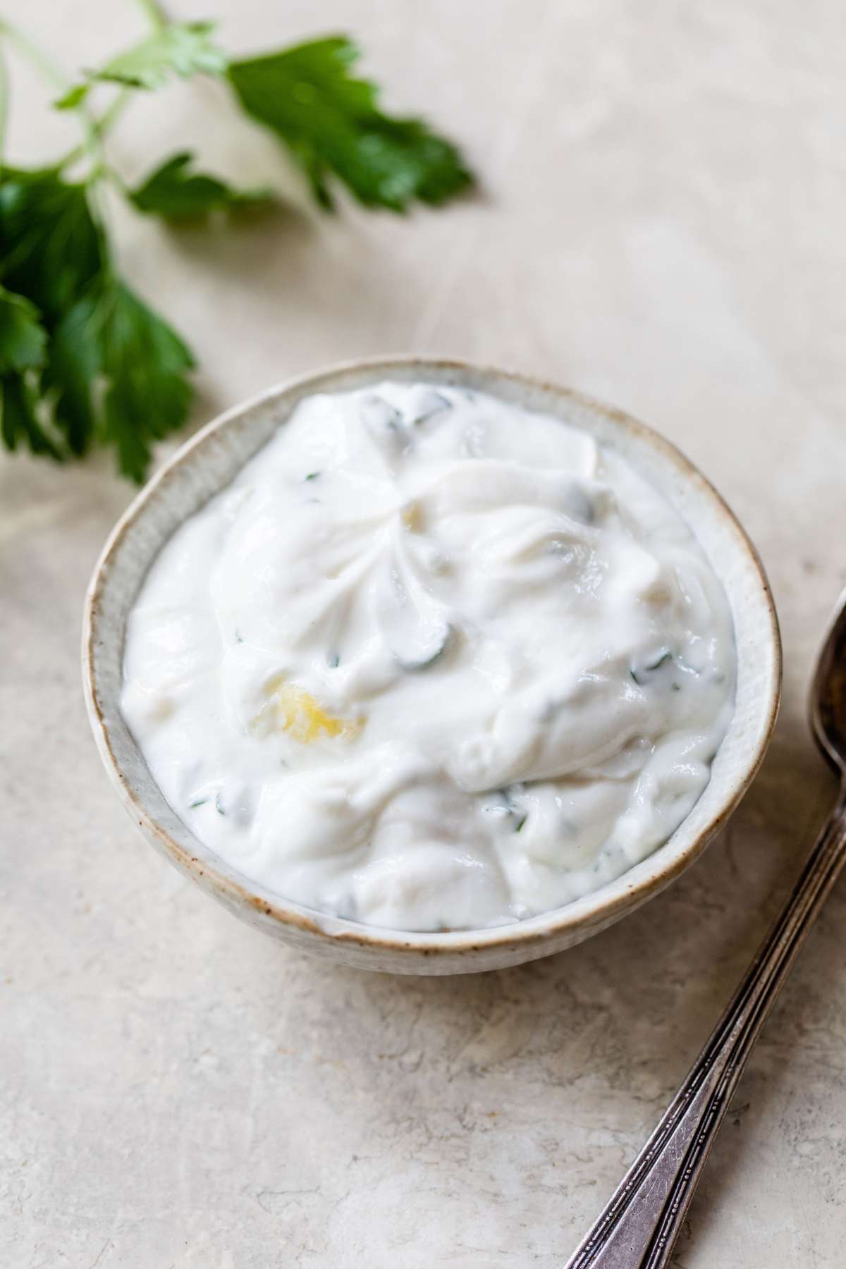 Bowl of creamy white dipping sauce.