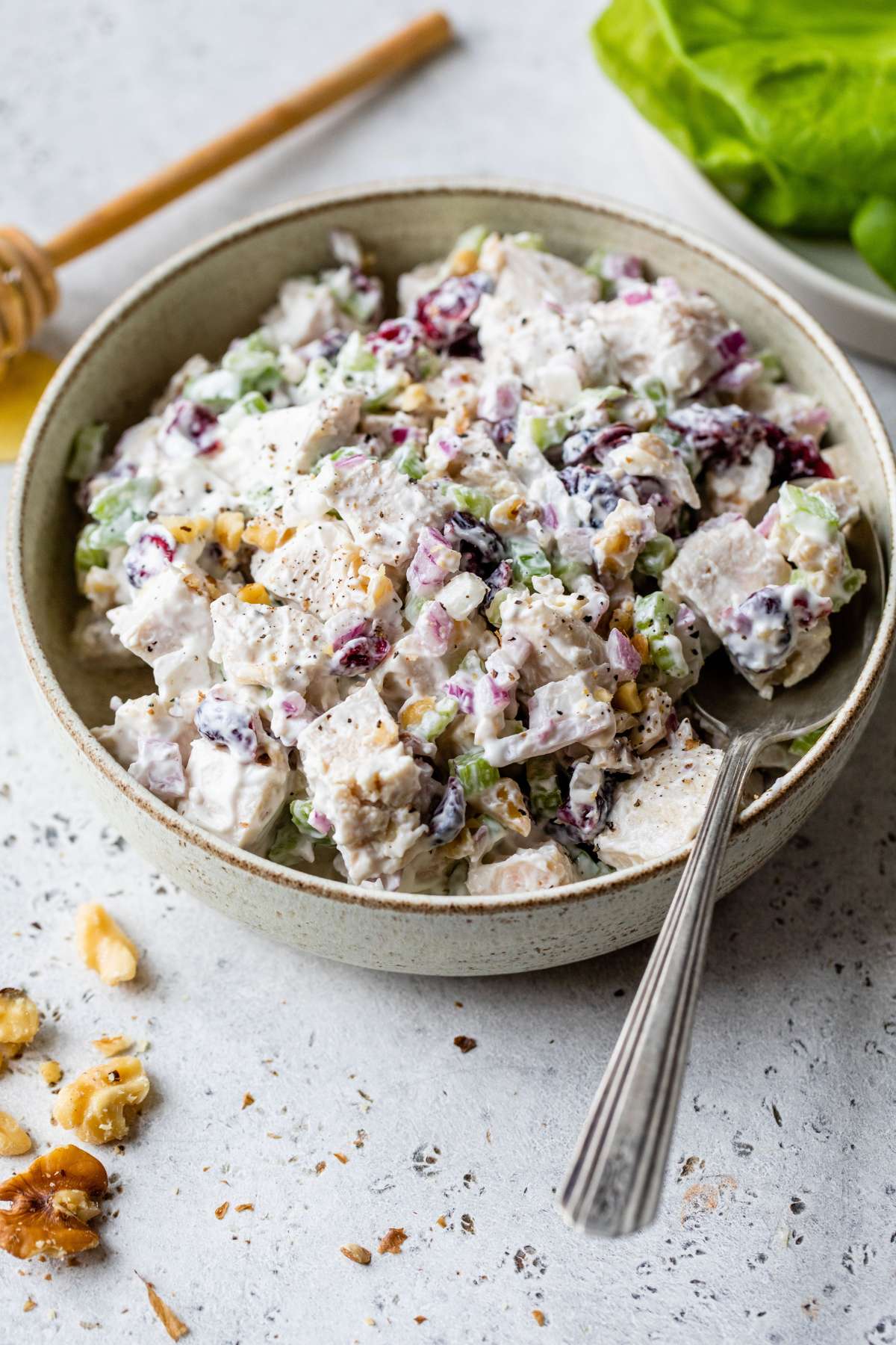 Cranberry walnut chicken salad in a bowl with a spoon.